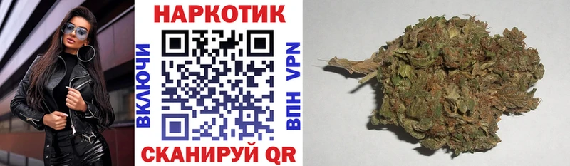 Купить закладку Alpha-PVP  Меф мяу мяу  Псилоцибиновые грибы  Марихуана  ГАШИШ  Каневская
