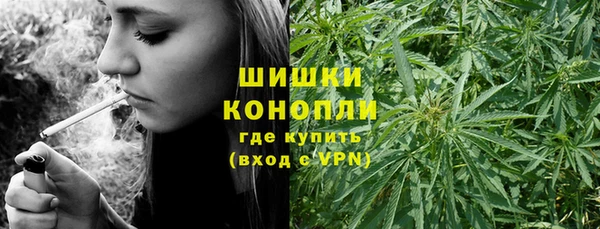 стаф Краснослободск