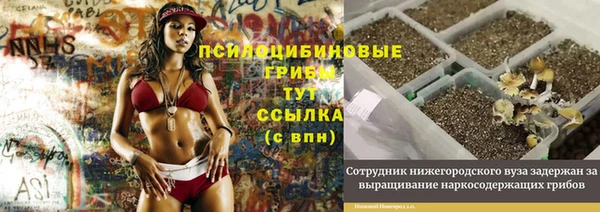 ECSTASY Красноперекопск