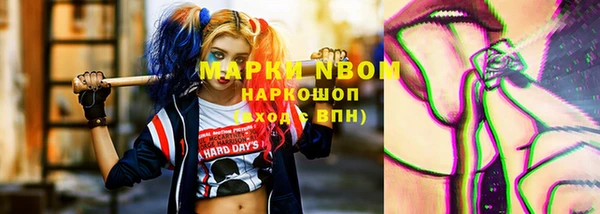стаф Краснослободск